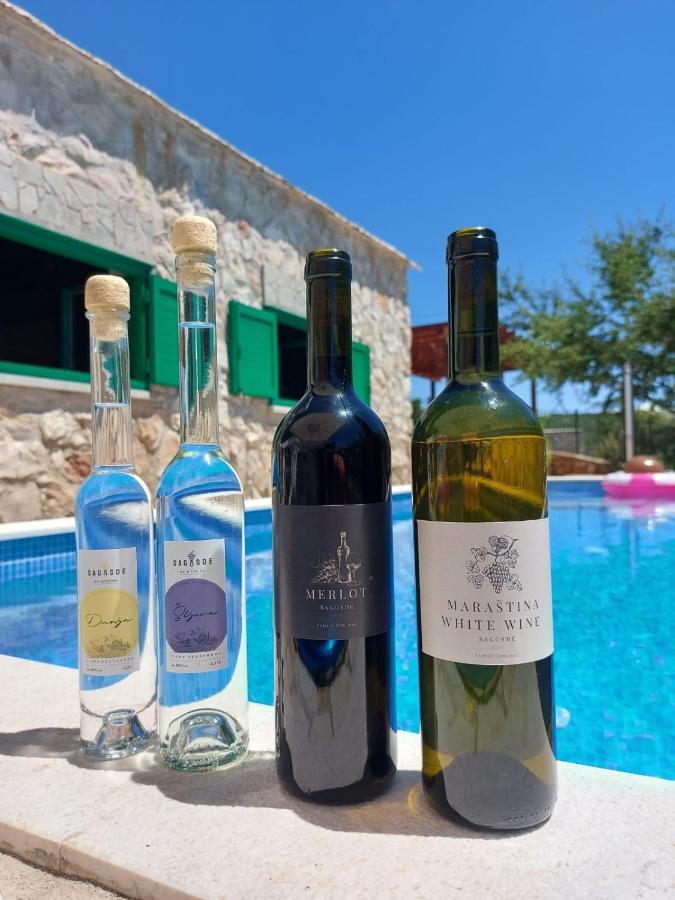 Villa Sagosde With Swimming Pool And Mini Golf Zagvozd 외부 사진